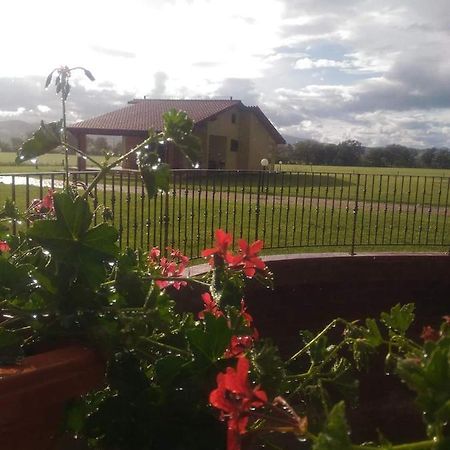 Agriturismo Oasi Del Pianettino Campagnatico Kültér fotó
