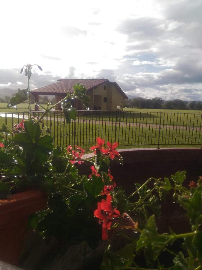Agriturismo Oasi Del Pianettino Campagnatico Kültér fotó
