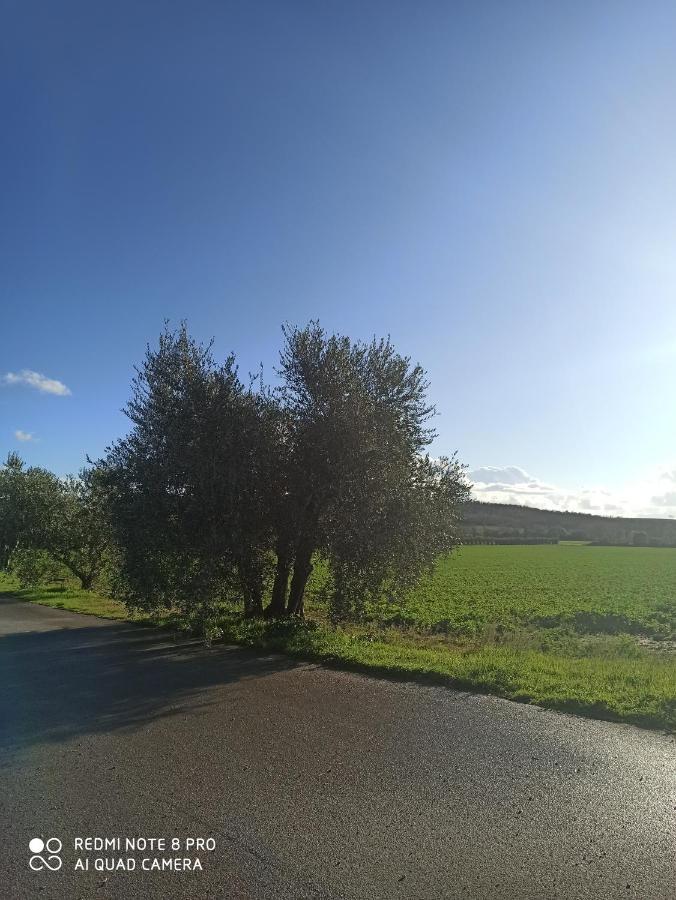 Agriturismo Oasi Del Pianettino Campagnatico Kültér fotó