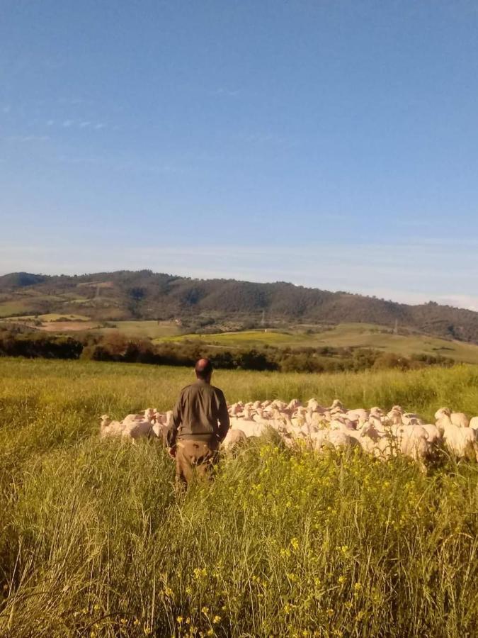 Agriturismo Oasi Del Pianettino Campagnatico Kültér fotó